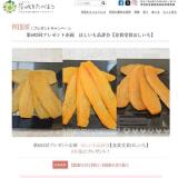 ���򤿤٤褦Ϣư�ץ쥼��ȴ��γ���