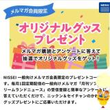 �������ꥸ�ʥ륭��饯�������å��ץ쥼��Ȥγ���