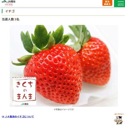 1��Υץ쥼��ȥ������ξܺ�