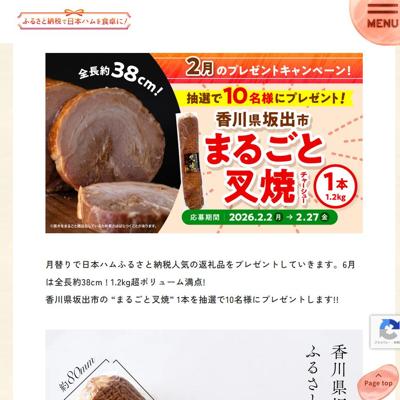 ����Υץ쥼��Ȥξܺ�