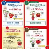 �Ĥ����ƤƳڤ��� ������ȥޥȤ��ĥץ쥼��ȥ����ڡ���γ���