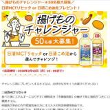 揚げものチャレンジャーの概要