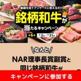 KEIBA CHIKUSAN�����ڡ���2025 ��6���γ���