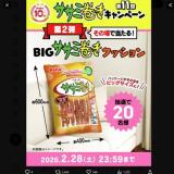 第11回 ササミ巻きキャンペーン 第2弾の概要