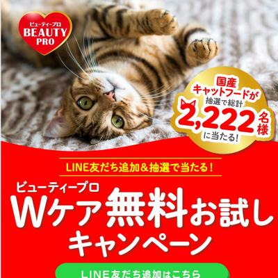 ̵����������ڡ���ξܺ�