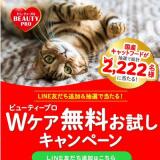 ̵����������ڡ���γ���