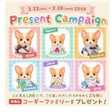 ����Х˥��ե��ߥ꡼����饤�󥷥�å� ����SNS�����ڡ���γ���