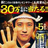 30万名様に当たるキャンペーン |の概要