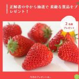 ����Υץ쥼��Ȥγ���