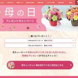 ����� �ץ쥼��ȥ����ڡ���2026�γ���