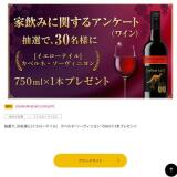 �Ȱ��ߤ˴ؤ��륢�󥱡���(�磻��)�����ڡ���γ���