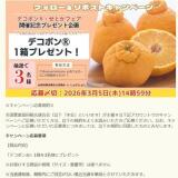 �ߤΤ�ߤΤ�X�ե���������ݥ��ȥ����ڡ���γ���