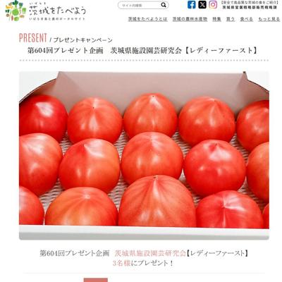 ���򤿤٤褦Ϣư�ץ쥼��ȴ��ξܺ�