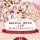 ���ʥӥ����åȡ߼�¼ͭ�ڥ���� �ץ쥼��ȥ����ڡ���γ���