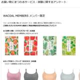 ���㤤ʪ�ˤޤĤ�륵���ӥ����θ��˴ؤ��륢�󥱡��Ȥγ���