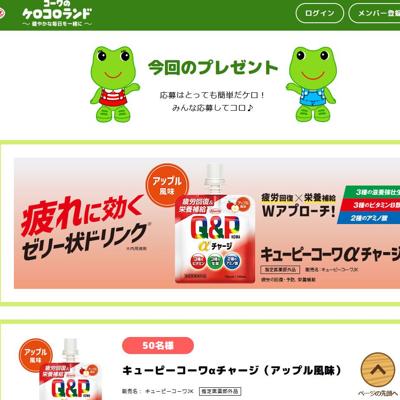 ��������󥳥�����󤫤�Υץ쥼��Ȥξܺ�