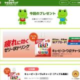 ��������󥳥�����󤫤�Υץ쥼��Ȥγ���