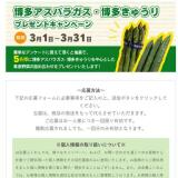 ��¿�����ɥåȥ�����ץ쥼��ȥ����ڡ���γ���