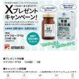 ��X������ۥץ쥼��ȥ����ڡ���γ���