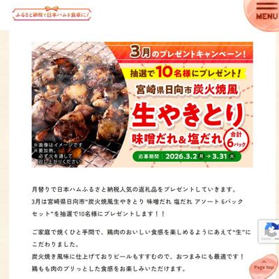 ����Υץ쥼��Ȥξܺ�