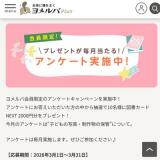 ����в�����ꥢ�󥱡��Ȥγ���