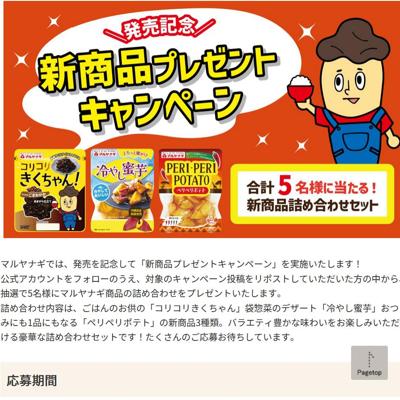 ȯ�䵭ǰ�������ʥץ쥼���SNS�����ڡ���ξܺ�