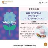 �ֶ�»��� �ۥ磻�ȥǡ� 2026�ץץ쥼��ȥ����ڡ���γ���