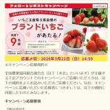 �ߤΤ�ߤΤ�X�ե���������ݥ��ȥ����ڡ���γ���