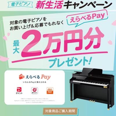 �Żҥԥ��ο����襭���ڡ���ξܺ�