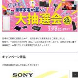 総決算！豪華家電が当たる大抽選会の概要