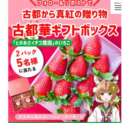 ���ɤ�̥�Ϥ򤪤����櫓�����ڡ���ξܺ�