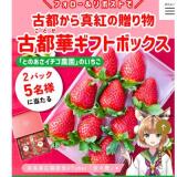 ���ɤ�̥�Ϥ򤪤����櫓�����ڡ���γ���