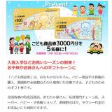 ����������net.�ץ쥼��Ȥγ���