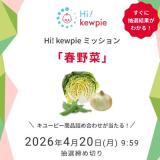 Hi�� kewpie �ߥå����֥ޥ�͡��������פγ���