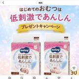 �ࡼ�ˡ� �ץ쥼��ȥ����ڡ���γ���