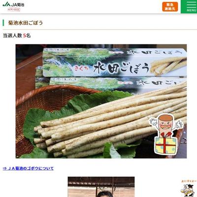 4��Υץ쥼��ȥ������ξܺ�