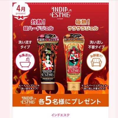 ����(11��)�Υץ쥼��Ȥξܺ�