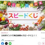 100ポイントで毎日挑戦★スピードくじ！！の概要