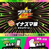 ブラックサンダー ワクワクイナズマ級 キャンペーンの概要