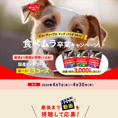 ���٥��´�ȥ����ڡ���ξܺ�