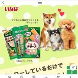 �ե��������Ƥ�������ǥ�������Ѥ���ĥ��åȤ������롪�γ���