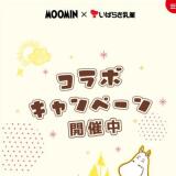 ��ʡ�Υץ��ȥࡼ�ߥ󤬥���ܡ��ץ쥼��ȥ����ڡ���γ���