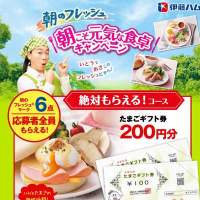 ī�Υե�å��� ī���������ʿ�����ڡ���ξܺ�