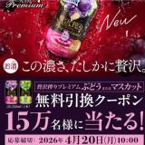 ����ӥ�̵�����������ݥ�ץ쥼��ȥ����ڡ���γ���