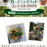 �����ǥ˥󥰥ե��ȥ���ƥ���2026�γ���