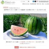 ���򤿤٤褦Ϣư�ץ쥼��ȴ��γ���