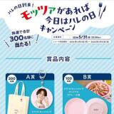 �ϥ�������衪��åĥ�������С������ϥϥ���������ڡ���γ���