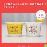 ����Υץ쥼��ȥ������γ���