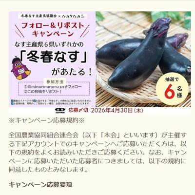 みのりみのるXフォロー&リポストキャンペーンの詳細