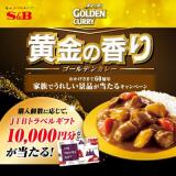 ����ι�ꥴ����ǥ󥫥졼 60��ǯ�����ڡ���γ���